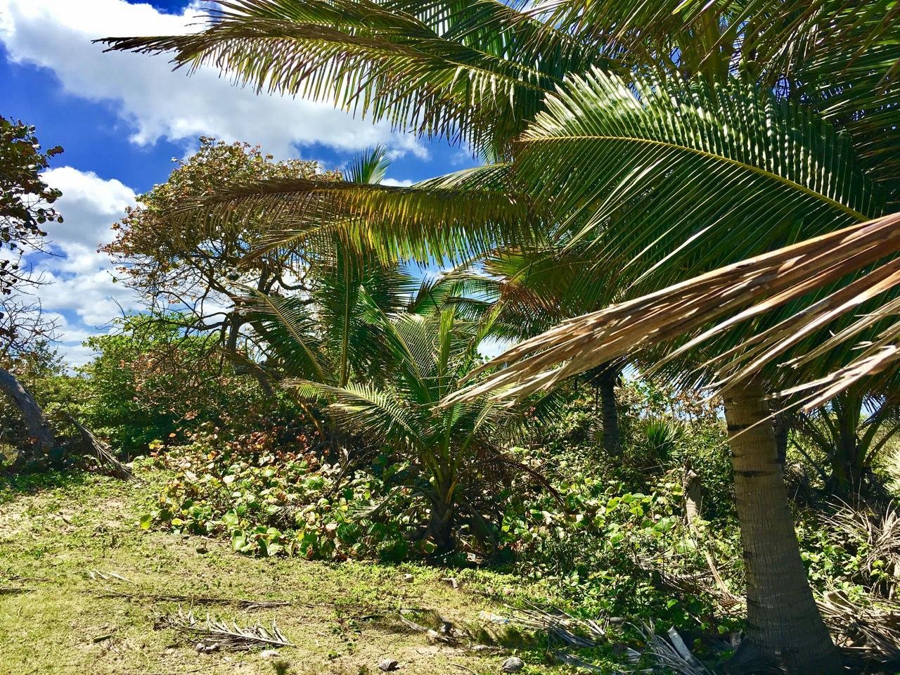 Oportunidad única- primera linea en cabarete contáctanos y construye recuerdos de ensueño