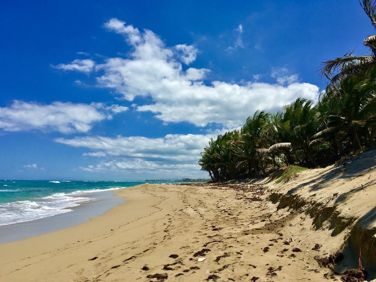 Oportunidad única- primera linea en cabarete contáctanos y construye recuerdos de ensueño