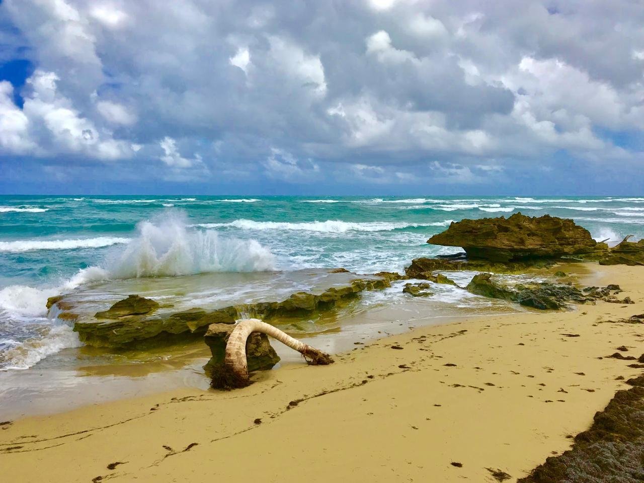 Oportunidad única- primera linea en cabarete contáctanos y construye recuerdos de ensueño