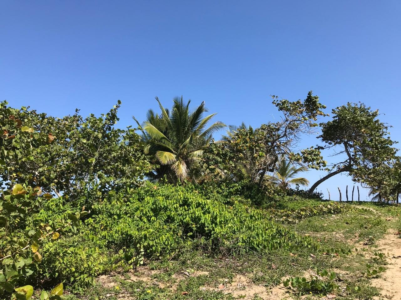 Oportunidad única- primera linea en cabarete contáctanos y construye recuerdos de ensueño